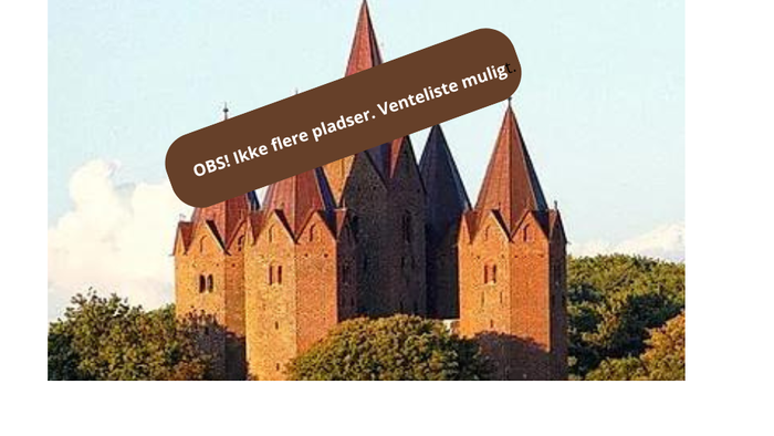 OBS! Ikke flere pladser. Venteliste mulig