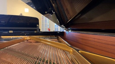 Nahaufnahme von Klaviersaiten und Hämmerchen