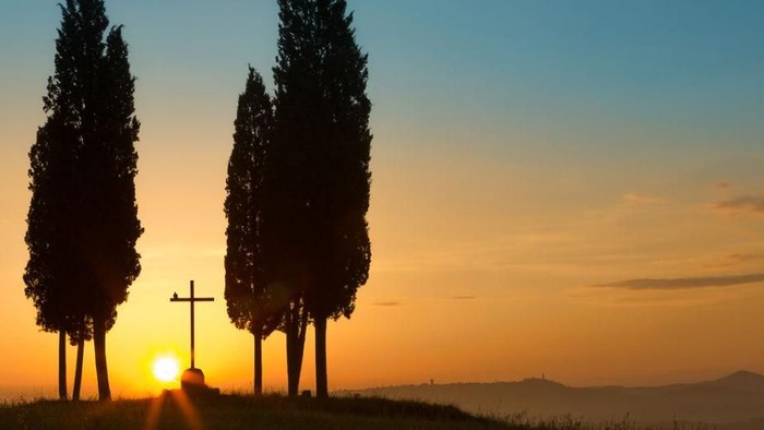 Tre high, silhuetterede træer foran solnedgang med et kors i forgrunden