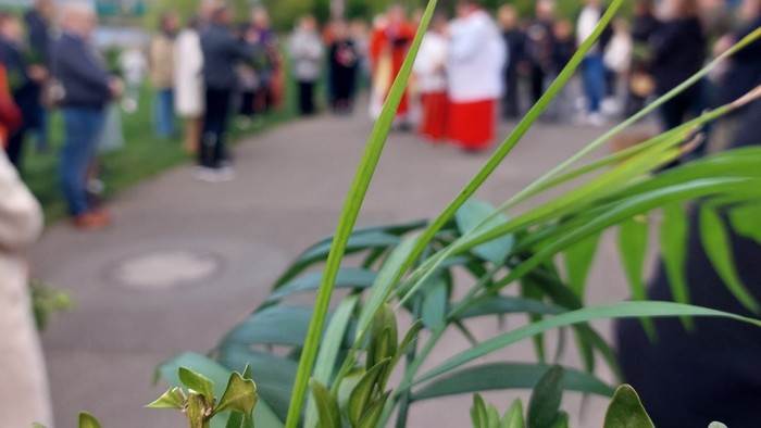 Eine Menschenmenge versammelt sich im Freien in der Nähe von Grünflächen mit klarem Himmel und Bäumen im Hintergrund.