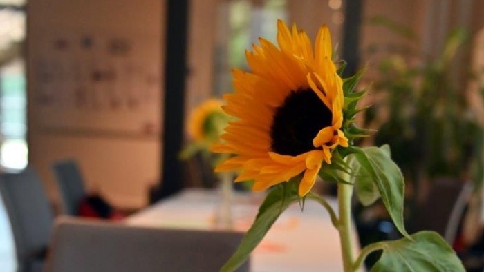 Ein Bild von einem kleinen Tisch mit einer Sonnenblume und einer Kaffetasse.