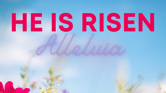 Bright floral field with text