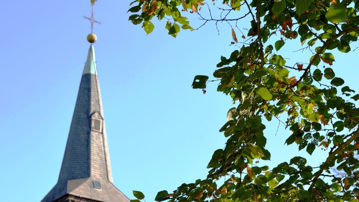 Kirchturm mit Kreuz und goldener Spitze, umgeben von Bäumen und grünem Blattwerk