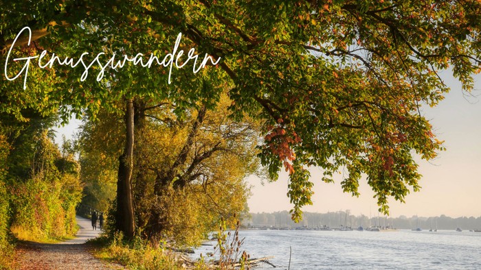 Ein friedlicher Spazierweg entlang eines Flusses im Herbst