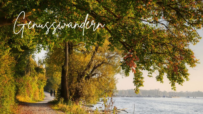 Ein friedlicher Spazierweg entlang eines Flusses im Herbst