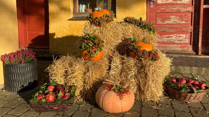 En hyggelig efterårsudstilling med pumpker og blomster foran en rød dør