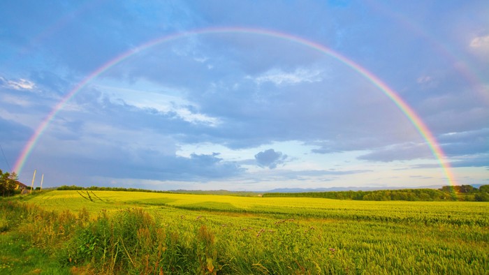 Ein Regenbogen spannt sich über eine grüne Wiese unter einem klaren Himmel