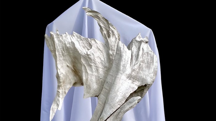 Ein weißes, zerklüftetes Objekt vor einem blauen Hintergrund