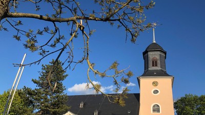 Kirche mit hohem Turm und Uhr, umgeben von Bäumen unter blauem Himmel