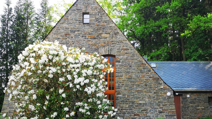 Steinbau mit weißer Blume und grünem Hintergrund