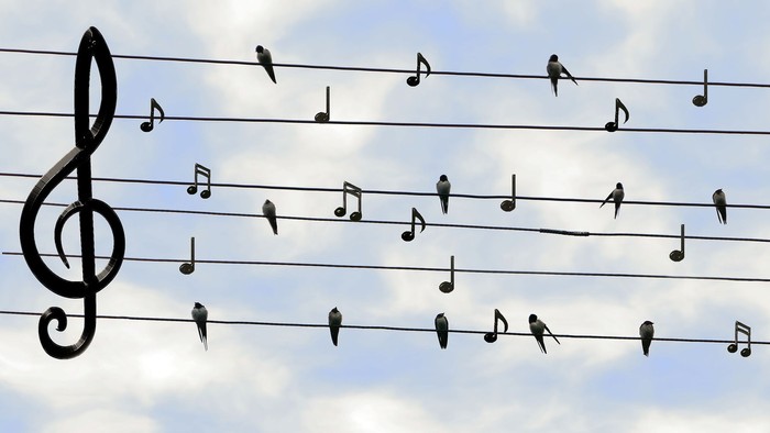 Vögel sitzen auf Notenlinien vor einem bewölkten Himmel
