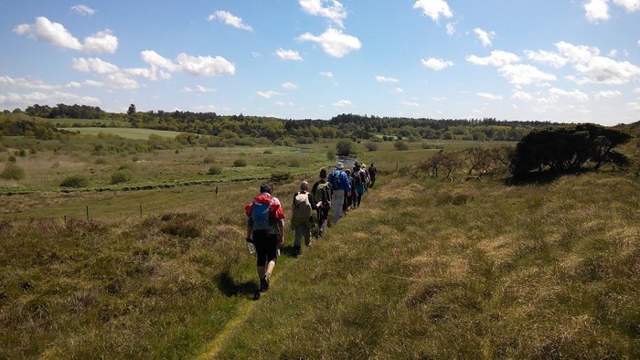 En gruppe på tur i en åben mark med græs og buske.