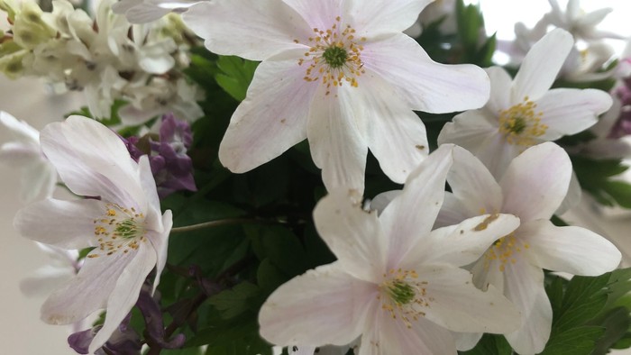 En blomsterarrangement med hvide og lilla blomster.