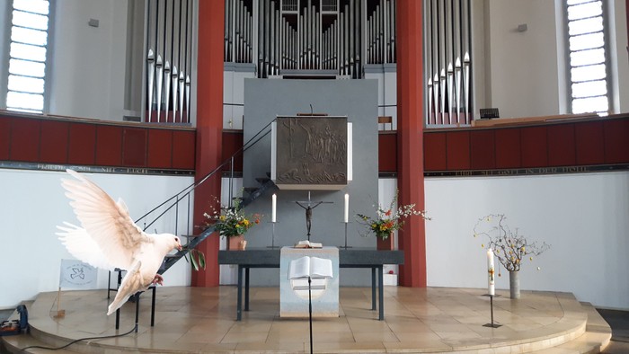 In der Kirche: Altar mit Taube und Orgel im Hintergrund