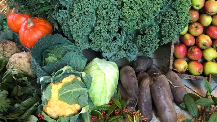 En markedsbude med en mangfoldighed af ferske grønne og røde økologiske produkter, heriblandt bladgrønne, kål, kålrabi, rød peberfrugt og æbler.