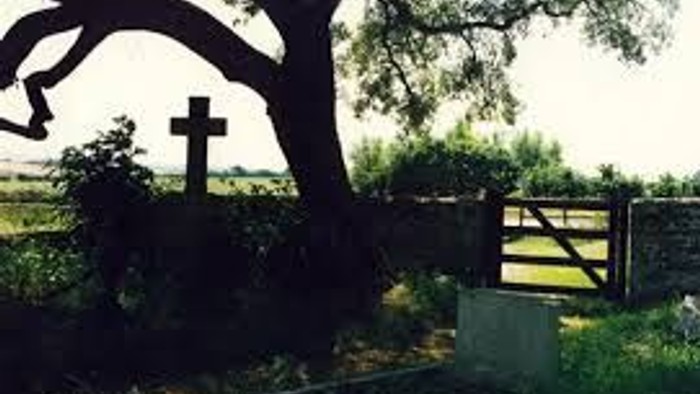 A large tree with a cross stands near a metal gate.