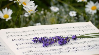 Notenblatt mit lila Blumen und weißen Gänseblümchen im Hintergrund