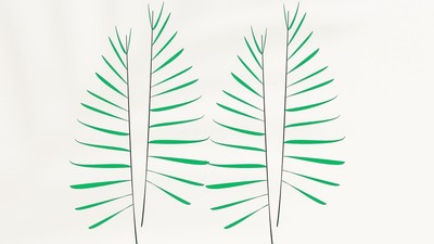 To tegnede palmeblade i grøn og sort