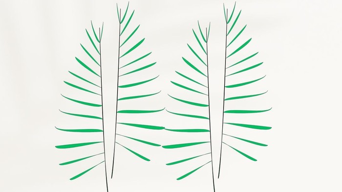 To tegnede palmeblade i grøn og sort