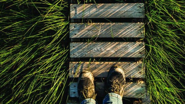 Person steht auf Holzstufen im Gras
