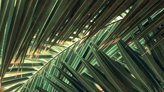 Modernes Gebäude mit grünen Glasfenstern und Metallträgern.