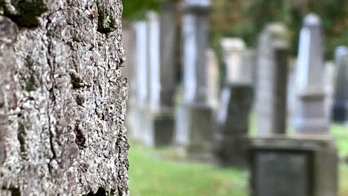 Alte Grabsteine auf einem Friedhof, einige mit sichtbaren Inschriften, umgeben von Gras.