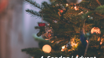 Juletræ med lys og pynt, hvor et af pyntetingene er mærket "Noël"