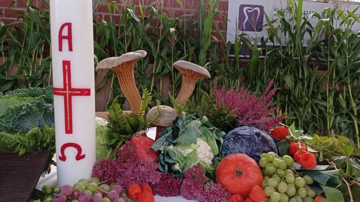 Bunte Obst- und Gemüseauslage mit Pilzen und Kerze