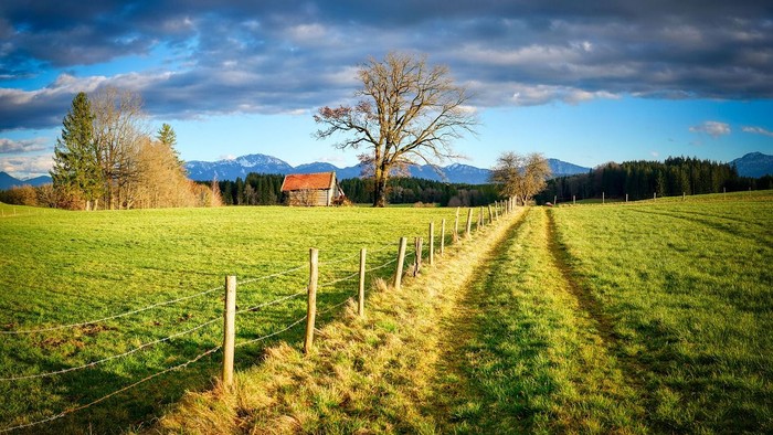 Ein grasbewachsener Feldweg mit Holzpfosten und Drähten, ein rotes Haus und Bäume unter einem bewölkten Himmel.