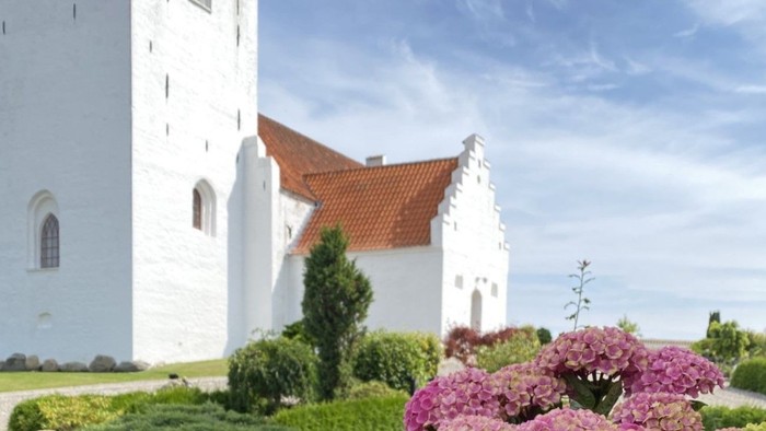 Blomsterbush i forgrunden med hvid kirke i baggrunden