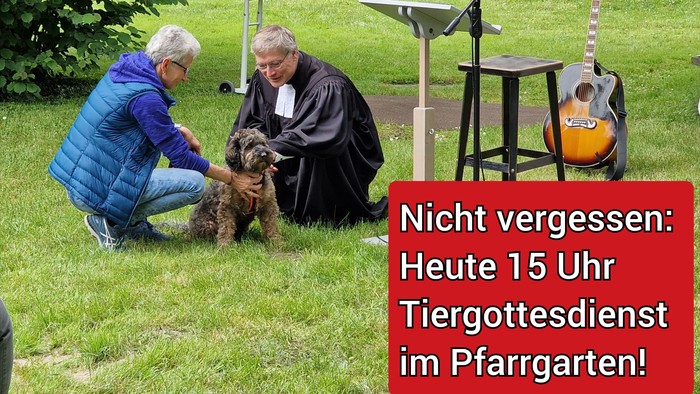 Zwei Personen knien auf einem grasbewachsenen Bereich, eine davon hält einen Hund, während eine andere eine Gitarre spielt.