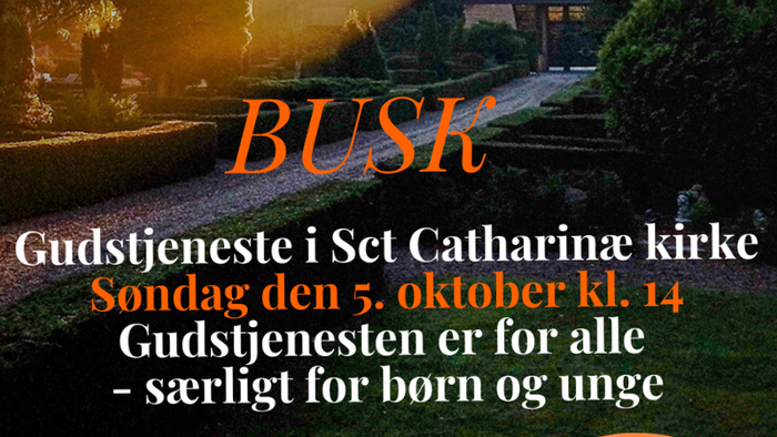 BUSK