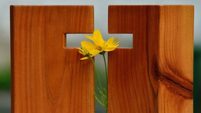 Ein hölzernes Kreuz mit einer gelben Blume darin.