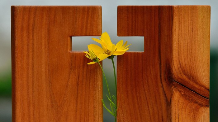 Ein hölzernes Kreuz mit einer gelben Blume darin.