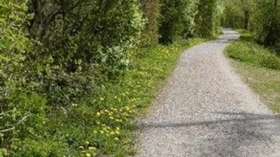 Ein Schotterweg führt durch eine grüne, bewachsene Landschaft.