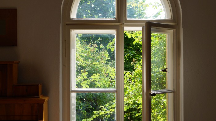 Ein großes, bogenförmiges Fenster mit Blick auf grüne Bäume.