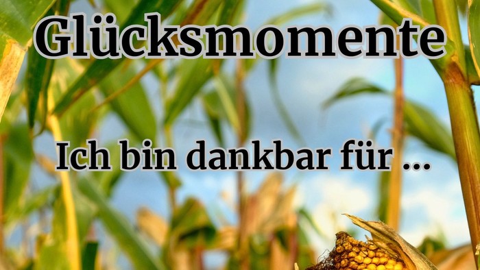 Das Bild zeigt einen Maiskolben vor einem grünen Feld mit Text in Deutsch