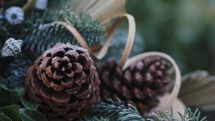 En nøgletæppe med grønne blad og små bær.