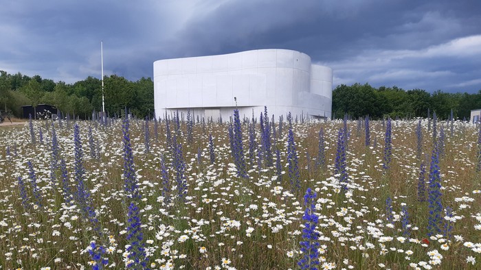 En stor hvid bygning omgivet af et mark med blå og hvide blomster.