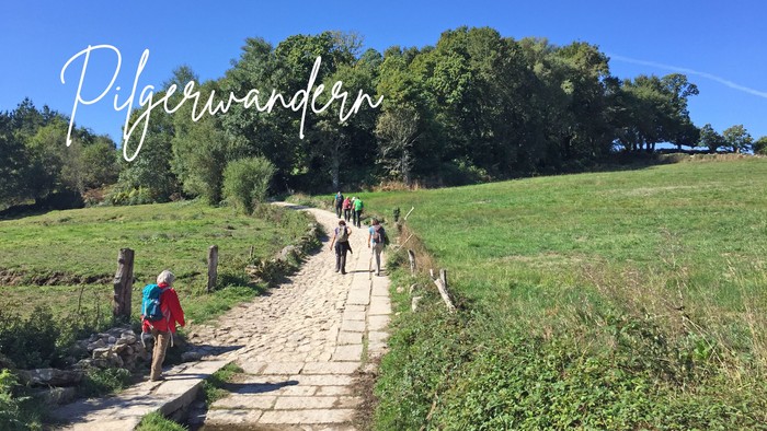 Ein Gruppe von Wanderern auf einem Feldweg, umgeben von Grünflächen und Bäumen unter klarem Himmel