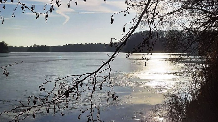 Ein Baumzweig mit kahlen Blättern vor einem ruhigen See bei Sonnenuntergang