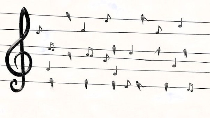 Vögel sitzen auf Notenlinien und Notenköpfen, ein großes Taktstocksymbol links.