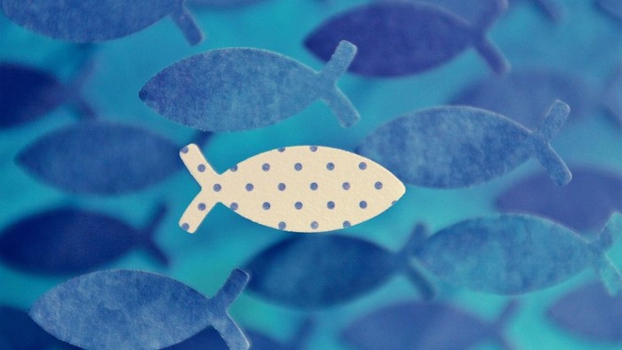 Ein einzelner beigefarbener Fisch mit Punkten schwimmt inmitten eines blauen Fischschwarms.