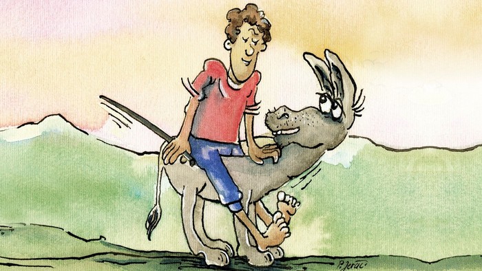 Ein Junge reitet auf einem Esel durch eine grüne Landschaft