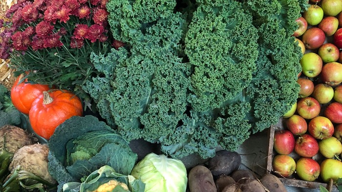 En markedsbude med en mangfoldighed af ferske grønne og røde økologiske produkter, heriblandt bladgrønne, kål, kålrabi, rød peberfrugt og æbler.