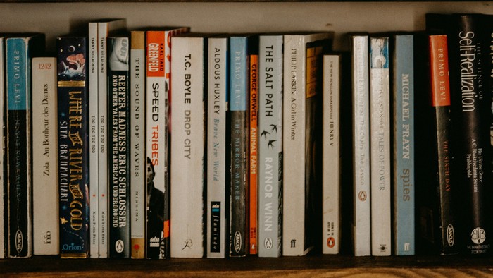 Viele Bücher in Holzregalen sortiert