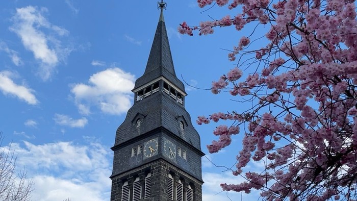 Turm mit Uhrwerk und rosa Blüten im Vordergrund
