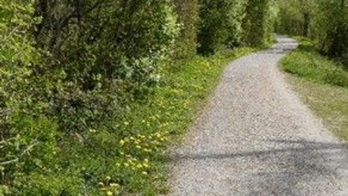 Ein Schotterweg führt durch eine grüne, bewachsene Landschaft.