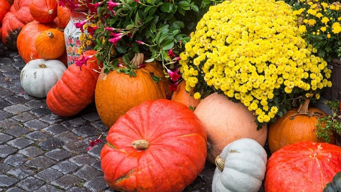 En uldig af pumpker og blomster på en fladt murstenet flise.