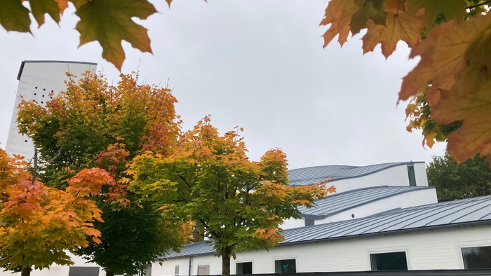 Tornbjerg Kirke set fra parkeringspladsen indhyllet i træer med efterårsfarvede blade 